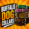 Buffalo Dog Collar